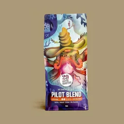 Pilot Blend coffee beans from 29 Coffee Roasters