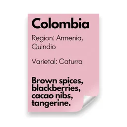 Jairo Arcila coffee beans from 36th Parallel Specialty Coffee Roasters
