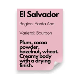 Santa Ana - Bourbon coffee beans from 36th Parallel Specialty Coffee Roasters