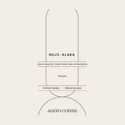 Alaka coffee beans from Ageyo Coffee