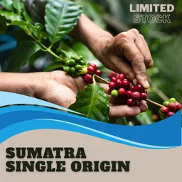 Mandheling coffee beans from AIRJO Coffee Roasters