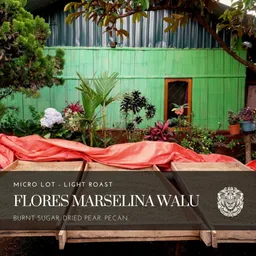 Flores Marselina Walu coffee beans from ASLAN Coffee Roasters