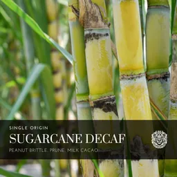 Sugarcane Decaf coffee beans from ASLAN Coffee Roasters