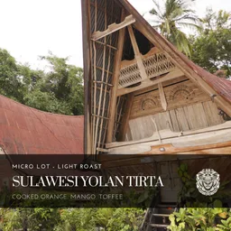 Sulawesi Yolan Tirta Washed coffee beans from ASLAN Coffee Roasters