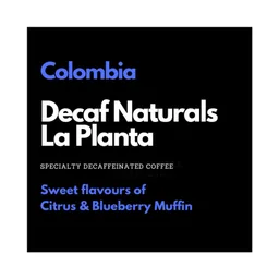 La Planta Naturals Decaf coffee beans from Barefoot Roasters