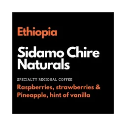 Sidamo Chire coffee beans from Barefoot Roasters