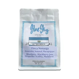 Finca Noruega Maragogype coffee beans from Blue Sky Coffee Roasters