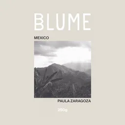 Finca Llano Encino coffee beans from Blume Coffee