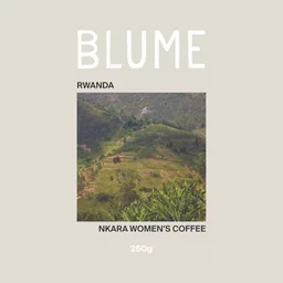Nkara Women's Coffee coffee beans from Blume Coffee