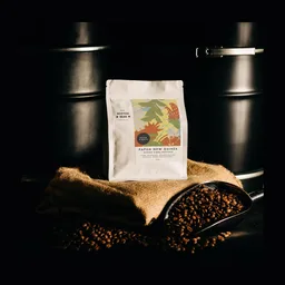 Kongo Simbu Province coffee beans from Boston Bean Coffee Co.