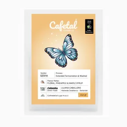 Gesha Fermented coffee beans from Cafetal Coffee Company