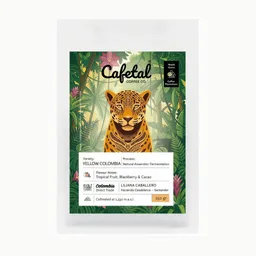 Yellow coffee beans from Cafetal Coffee Company