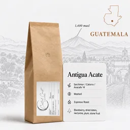Antigua Acate coffee beans from Central Coast Coffee