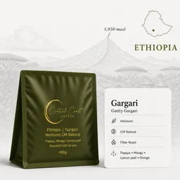 Yirgacheffe Gargari coffee beans from Central Coast Coffee