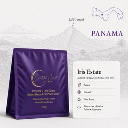 Iris Estate Gesha Nitrogen Natural ODYSSEY 2025 coffee beans from Central Coast Coffee