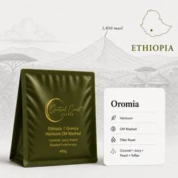 Guji Masina Heirloom coffee beans from Central Coast Coffee