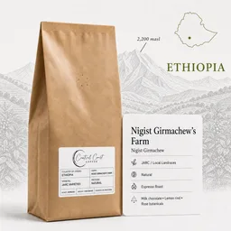 Yirgacheffe Nigist Girmachew coffee beans from Central Coast Coffee