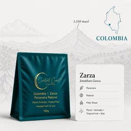 Pacamara coffee beans from Central Coast Coffee