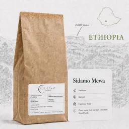 Sidamo Mewa Heirloom coffee beans from Central Coast Coffee