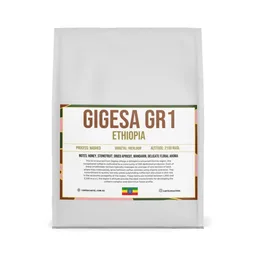 Gigesa GR1 coffee beans from Coffee Cartel