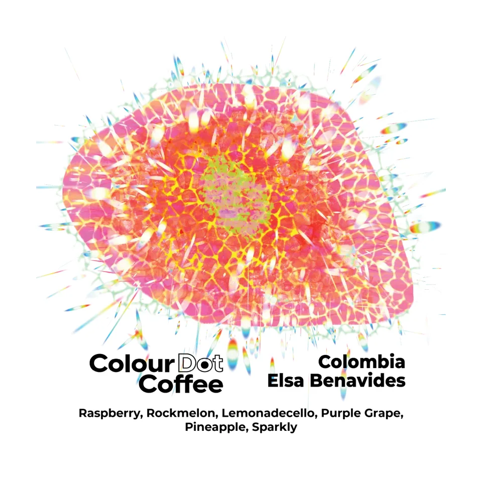 Elsa Benavides · Filter coffee beans from Colour Dot Coffee