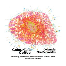 Elsa Benavides coffee beans from Colour Dot Coffee