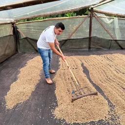 El Diviso coffee beans from Constance Coffee