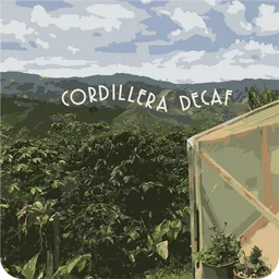 Cordillera coffee beans from core roasters