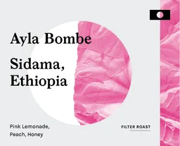 Ayla Bombe coffee beans from Craftwork Roasting Company