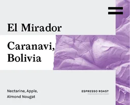 El Mirador coffee beans from Craftwork Roasting Company
