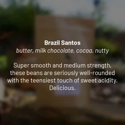Fancy Santos coffee beans from Dancing Goat Coffee Roasters