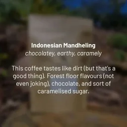 Mandheling coffee beans from Dancing Goat Coffee Roasters