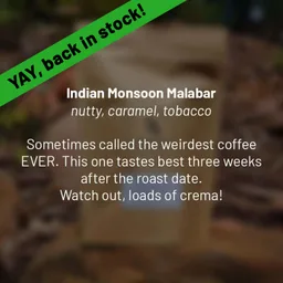 Monsoon Malabar coffee beans from Dancing Goat Coffee Roasters