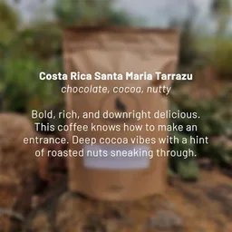 Santa Maria Tarrazu coffee beans from Dancing Goat Coffee Roasters