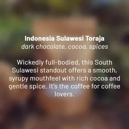 Sulawesi Toraja coffee beans from Dancing Goat Coffee Roasters