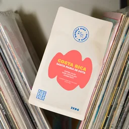 Central American Single Origin - Costa Rica, Santa Maria de Dota coffee beans from Dibs Coffee