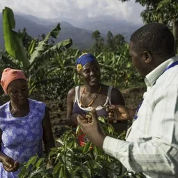 Drugar African Moon coffee beans from Double Roasters Coffee