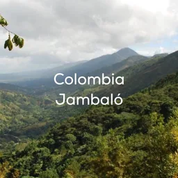 Jambaló coffee beans from Double Roasters Coffee