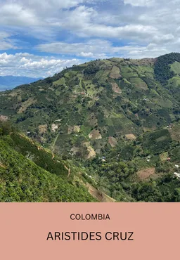 Aristides Cruz coffee beans from Elementary Coffee