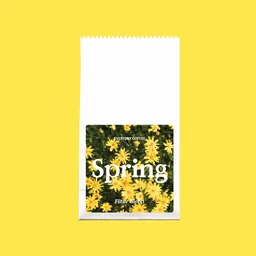 Spring Filter Blend coffee beans from Everyday Coffee