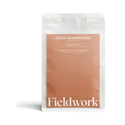 César Sampertegui coffee beans from Fieldwork Coffee