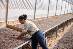 Tierra Madre - Women Producers coffee beans from Fiendish Brew