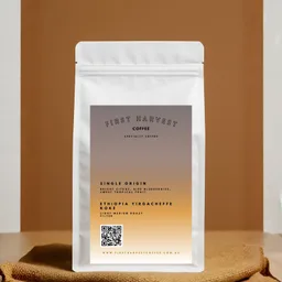 Yirgacheffe Koke coffee beans from First Harvest Coffee