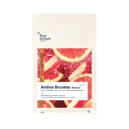 Andino Bruselas coffee beans from Five Senses Coffee