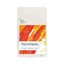 Finca Concepcion coffee beans from Five Senses Coffee