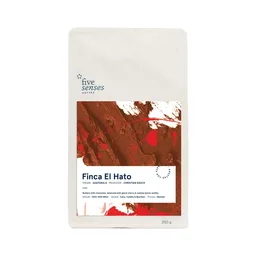 Finca El Hato coffee beans from Five Senses Coffee