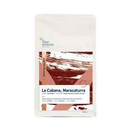 La Cabana, Maracaturra coffee beans from Five Senses Coffee