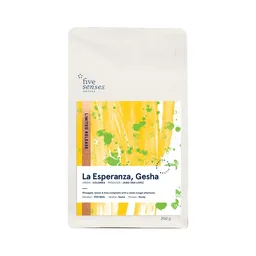 La Esperanza, Gesha coffee beans from Five Senses Coffee