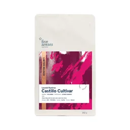 Leonid Ramirez, Castillo Cultivar coffee beans from Five Senses Coffee