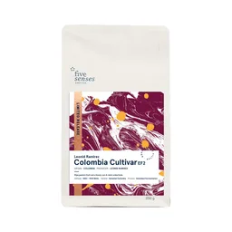 Leonid Ramirez, Colombia Cultivar EF2 coffee beans from Five Senses Coffee